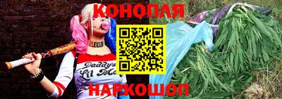 шишки Моздок