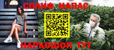 шишки Моздок