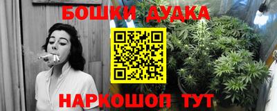 шишки Моздок