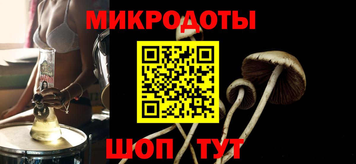 Галлюциногенные грибы прущие грибы Рузаевка
