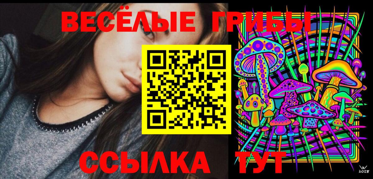 Рузаевка  Галлюциногенные грибы Psilocybe  Вход с VPN  Псилоцибиновые грибы Cubensis 